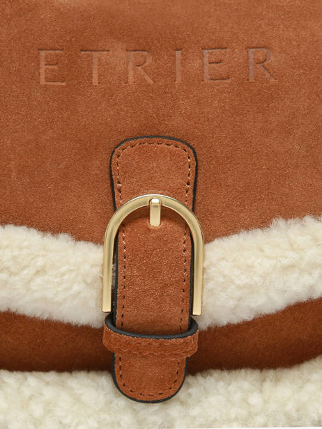 Sac Bandoulière Alpin Etrier Marron alpin EALP050S vue secondaire 5