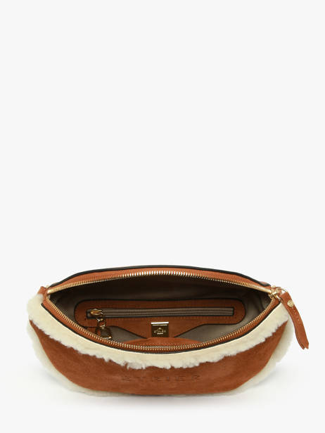 Sac Banane Etrier Marron alpin EALP022M vue secondaire 3