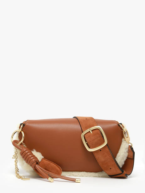 Sac Banane Etrier Marron alpin EALP022M vue secondaire 4